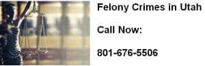 felony crimes