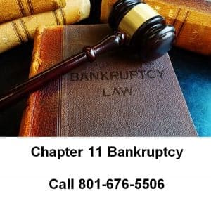 Master Chapter 11 Bankruptcy: Ascent To Financial Recovery