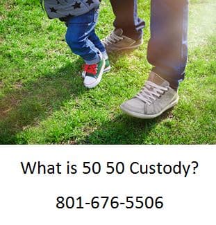 what is 50 50 custody