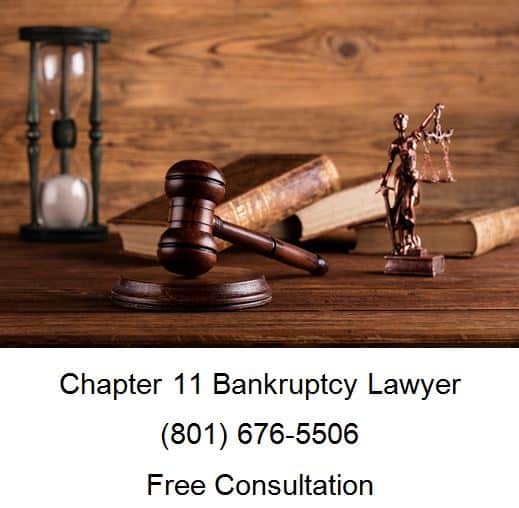 chapter 11 bankruptcy lawyer