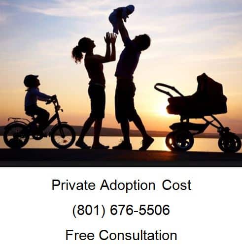 private adoption cost