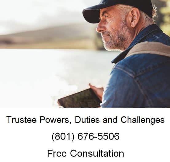 trustee power duties and challenges