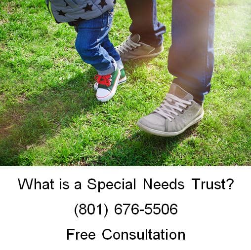 what is a special needs trust