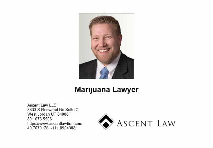 Marijuana Lawyer