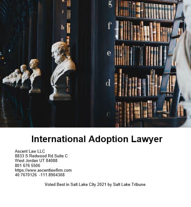 International Adoption Lawyer